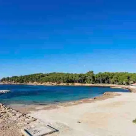 Charmant Studio A Mandrier Sur Mer Apartment Saint-Mandrier-sur-Mer